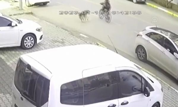 Köpekten kaçarken otomobil çarptı!